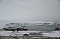 232_Antarctica_Peninsula_Robert_Island