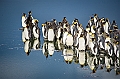 165_Best_of_Antarctica_Ponant