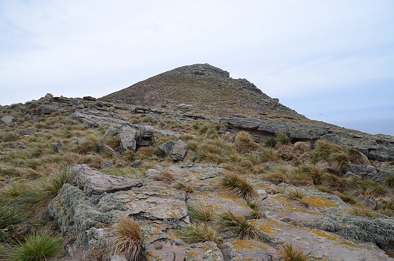 085_Falkland_Islands_New_Island.JPG