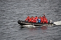 149_Falkland_Islands_Grave_Cove_Zodiac
