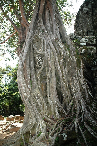 361_Cambodia_Angkor_Ta_Som.JPG
