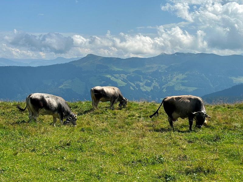 096_Austria_Wildschoenau.JPG