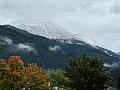 113_Austria_Pinzgau