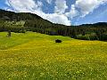 110_Austria_Zillertal