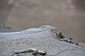 256_Azerbaijan_Qobustan_Mud_Volcanoes