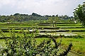 247_Bali_The_Ubud_Village_Resort