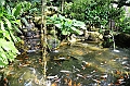 454_Kuala_Lumpur_Bird_Park