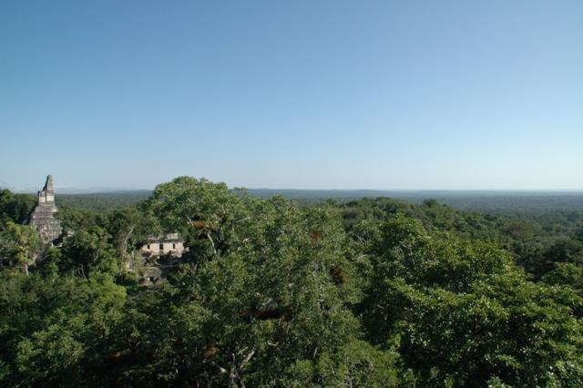 272_Guatemala_Tikal.JPG