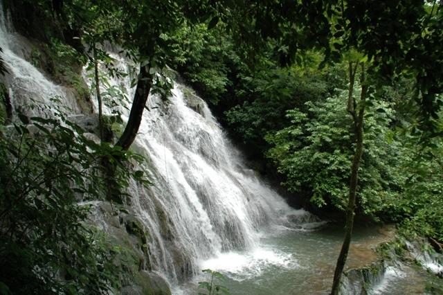 108_Mexico_Palenque_Jungle.JPG