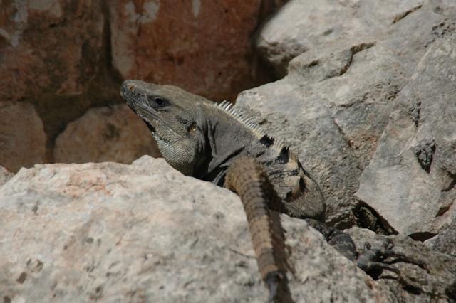 38_Mexico_Uxmal.JPG