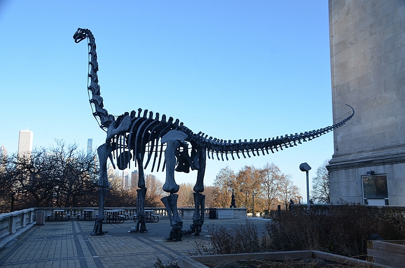 041_USA_Chicago_Field_Museum.JPG