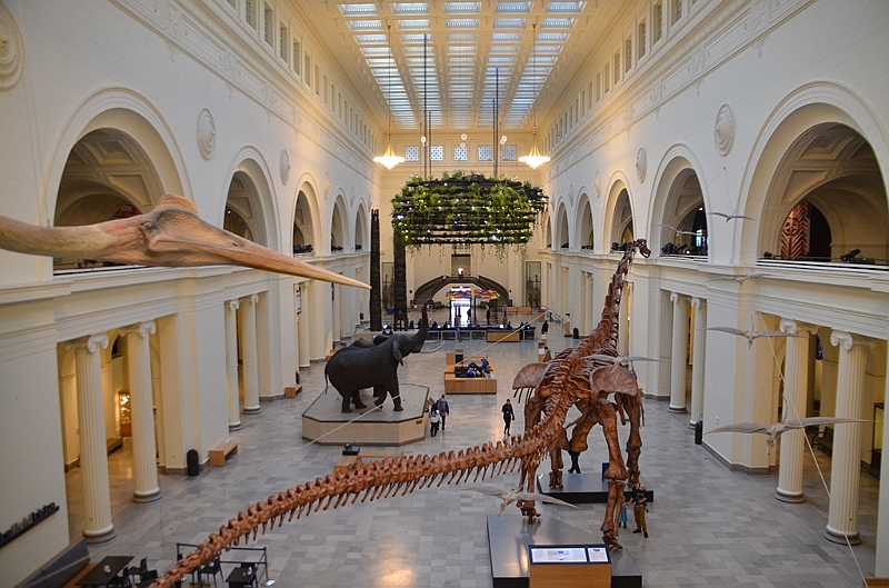 051_USA_Chicago_Field_Museum.JPG