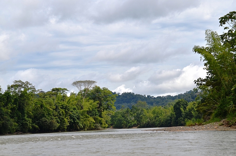 301_Ecuador_Amazonas_Aera_Napo_River_Tour.JPG