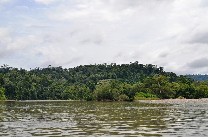 304_Ecuador_Amazonas_Aera_Napo_River_Tour.JPG