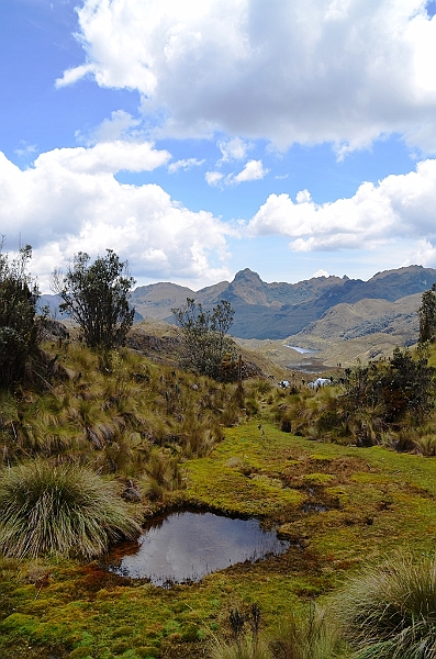 524_Ecuador_Parque_Nacional_Cajas.JPG