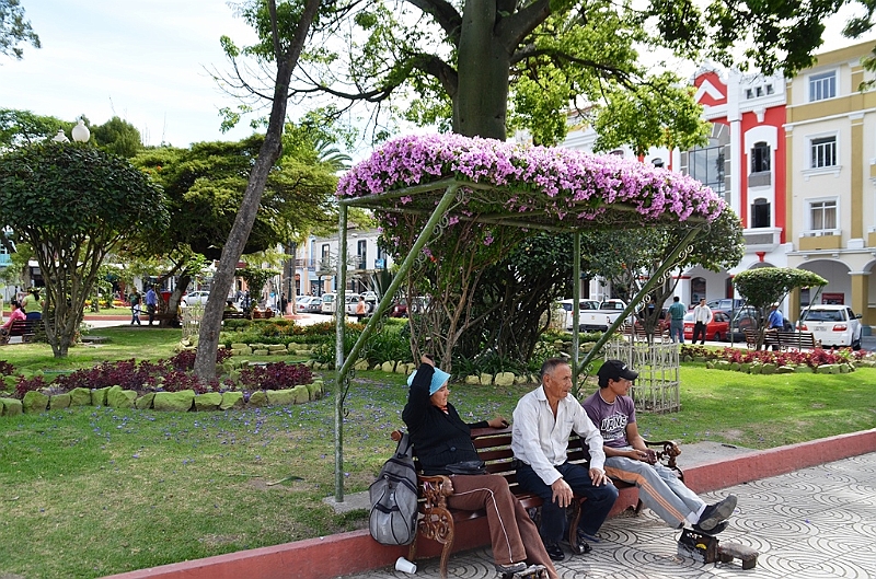 564_Ecuador_Loja_Parque_Central.JPG