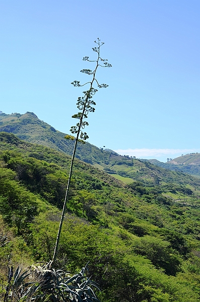 598_Ecuador_Vilcabamba.JPG