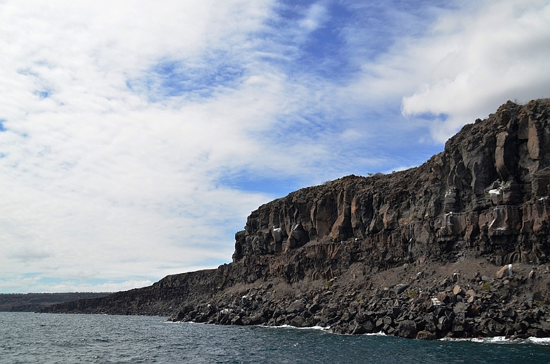 650_Ecuador_Galapagos_Islas_Plazas_South_Boot_Tour.JPG