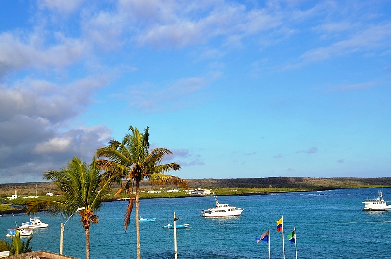 714_Ecuador_Galapagos_Santa_Cruz_Puerto_Ayora.JPG