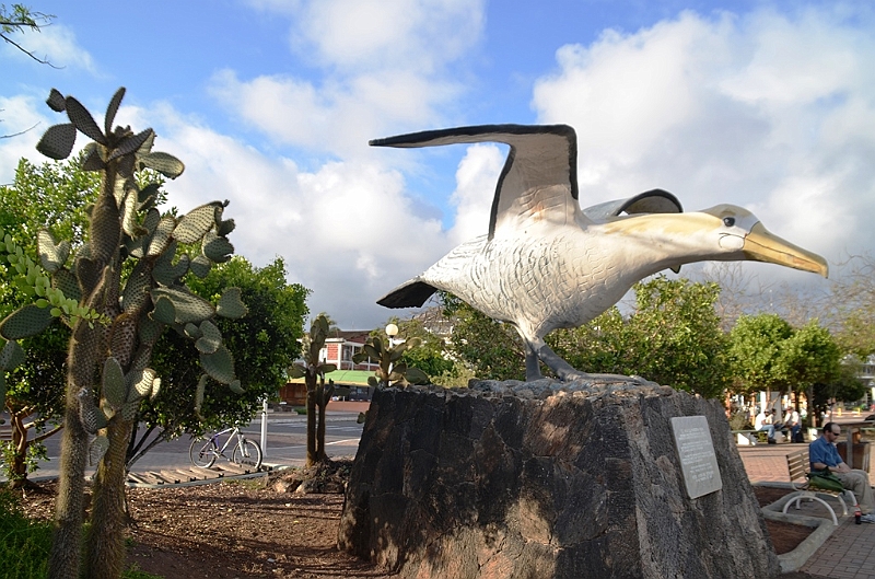 717_Ecuador_Galapagos_Santa_Cruz_Puerto_Ayora.JPG