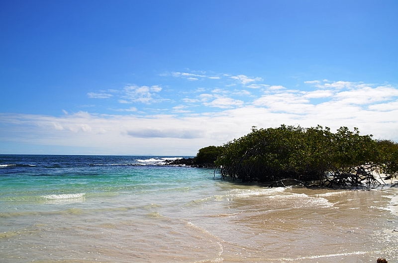 856_Ecuador_Galapagos_Santa_Cruz_Tortuga_Bay.JPG