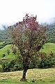 172_Ecuador_Papallacta
