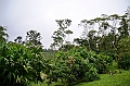 255_Ecuador_Amazonas_Aera