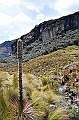 504_Ecuador_Parque_Nacional_Cajas