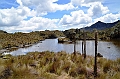 513_Ecuador_Parque_Nacional_Cajas