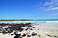 850_Ecuador_Galapagos_Santa_Cruz_Tortuga_Bay