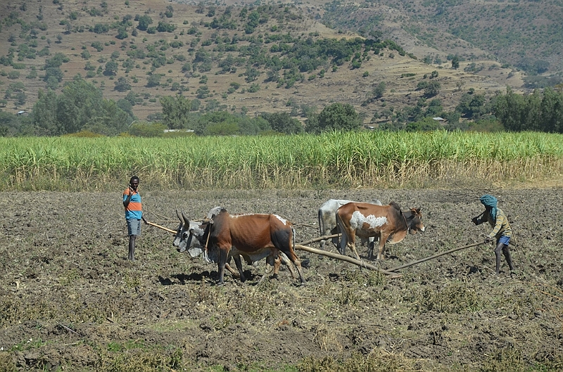 084_Ethiopia_North.JPG