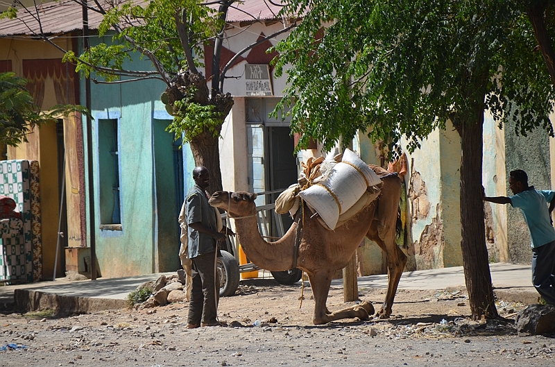 328_Ethiopia_North_Axum_Market.JPG