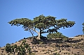 083_Ethiopia_North