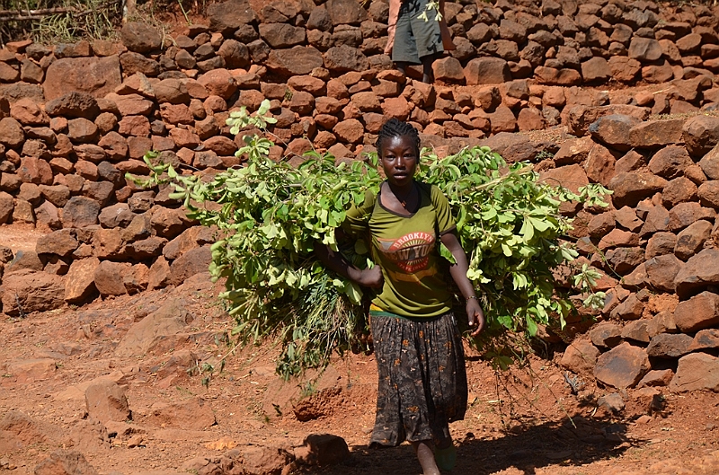 597_Ethiopia_South_Konso_Village.JPG