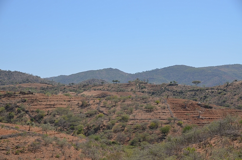 599_Ethiopia_South.JPG