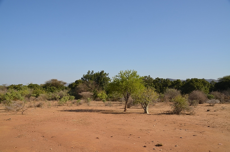 713_Ethiopia_South.JPG