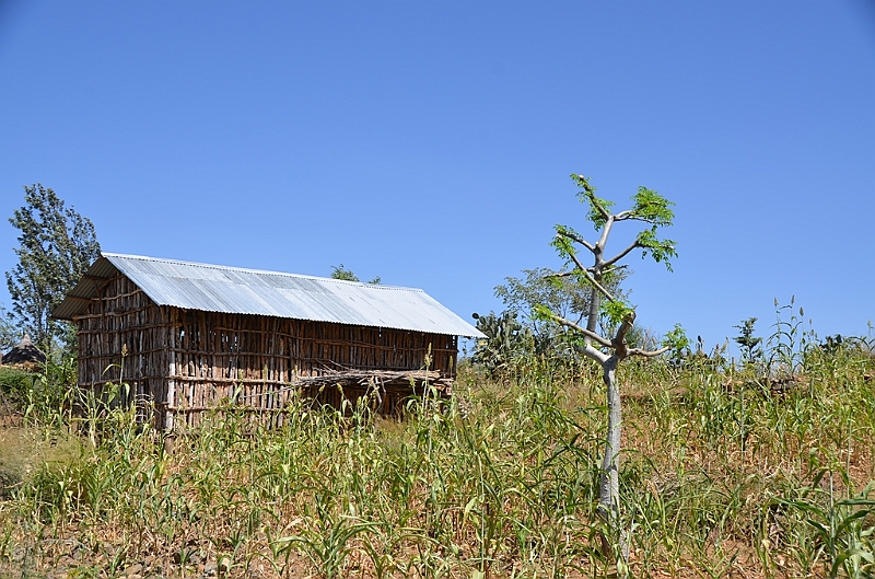 750_Ethiopia_South.JPG