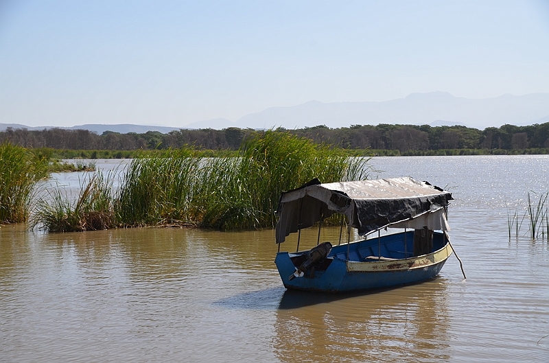 782_Ethiopia_South_Nechi_Sar_NP.JPG
