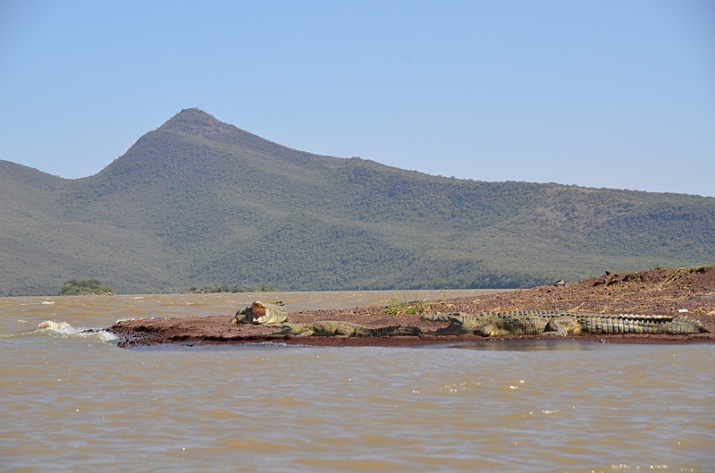 802_Ethiopia_South_Nechi_Sar_NP.JPG