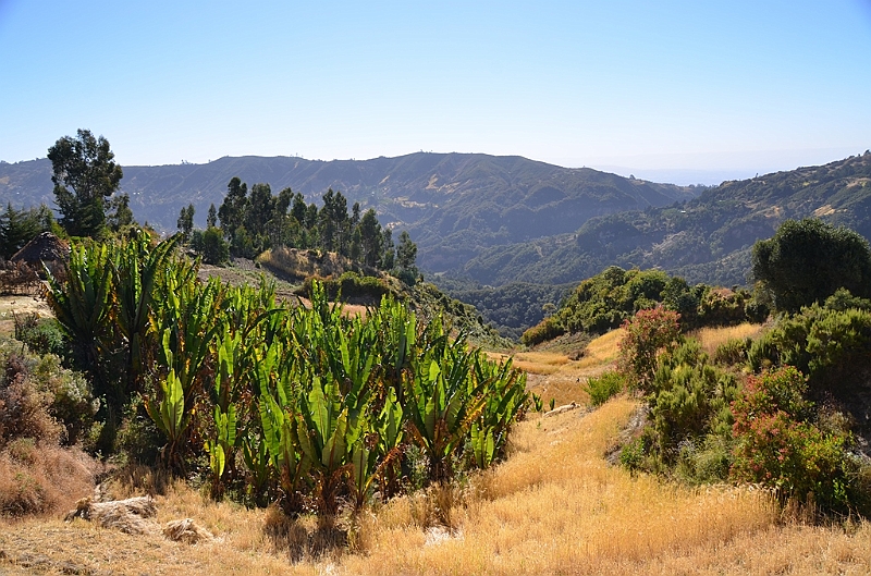 890_Ethiopia_South_Mount_Wenchi.JPG