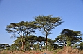 699_Ethiopia_South_Turmi