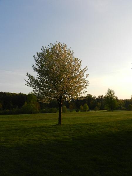 Golfclub_Herrnhof_24_April_2011_Photo012.JPG
