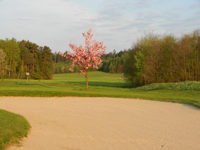 Golfclub_Herrnhof_24_April_2011_Photo017.JPG