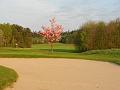 Golfclub_Herrnhof_24_April_2011_Photo017