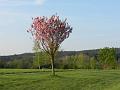 Golfclub_Herrnhof_24_April_2011_Photo029