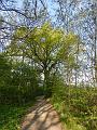 Golfclub_Herrnhof_24_April_2011_Photo046
