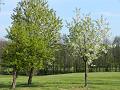 Golfclub_Herrnhof_24_April_2011_Photo066
