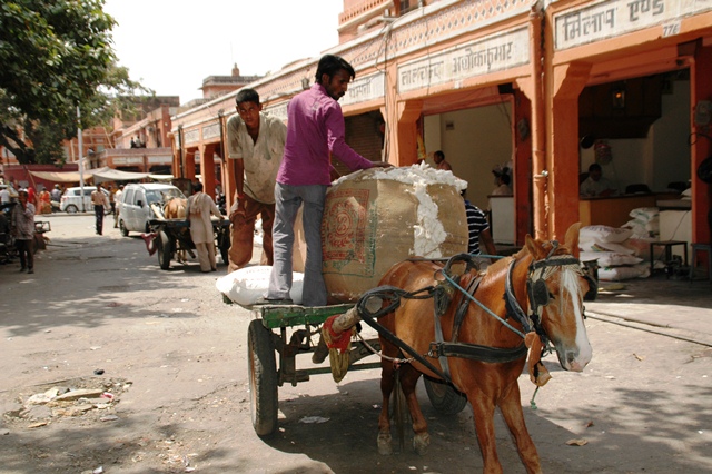 059_India_Jaipur.JPG