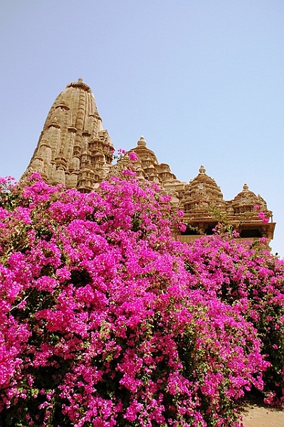 447_India_Khajuraho_Western_Temples.JPG