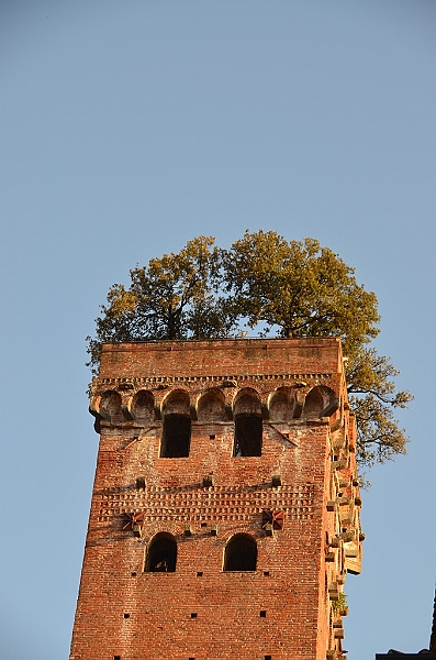 047_Italien_Toskana_Lucca_Torre_Guinigi.JPG